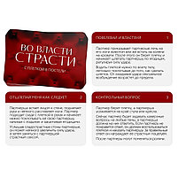 Эротическая игра для двоих «С плеткой в постели», фото 2