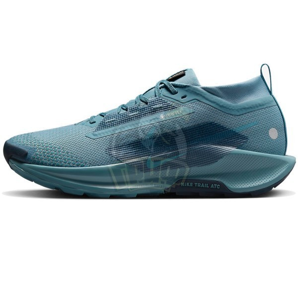 Кроссовки беговые мужские Nike Pegasus Trail 5 GTX (арт. FQ0908-005)