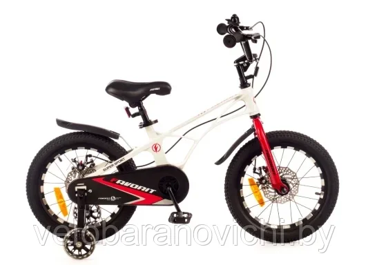 Велосипед FAVORIT SUPER SPORT SSP-18WT