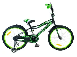 Велосипед FAVORIT BIKER BIK-20GN