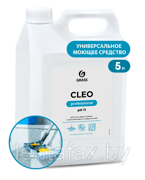 Средство моющее универсальное "Cleo" 5,2кг, щелочное с антибактериальным эффектом.ЦЕНА БЕЗ УЧЕТА НДС 20 %