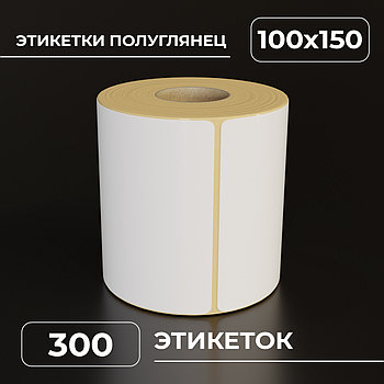 Термотрансферные самоклеящиеся этикетки 100х150 мм, п/гл, цвет белый, втулка 40 мм - 300 этикеток в ролике.