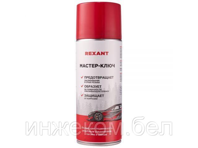 Смазка техническая "Мастер-ключ" 520 мл REXANT