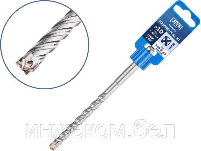 10х100х160 мм бур (сверло) SDS-plus EXPERT STARTUL (бур по бетону, крестовая пластина)
