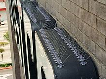 Антиприсадочные шипы от птиц, 1 м.п, фото 3