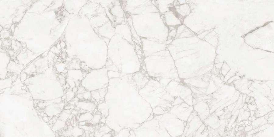 Керамогранит Maimoon Ceramica Exotic White 120x60 Carving