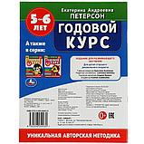 Годовой курс. 5-6 лет.  Е.А. Петерсон., фото 5