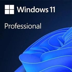 Операционная система на диске Microsoft Windows 11 Pro 64-bit Рус. Наклейка (FQC-10547_P)