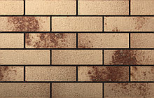 Клинкерная плитка Sultan Ceramic коллекция Octo