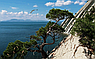 Курорт Геленджик, отель "Дубравушка", фото 3