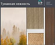 Сайдинг ПВХ Тимберблок Планкен янтарный, фото 3