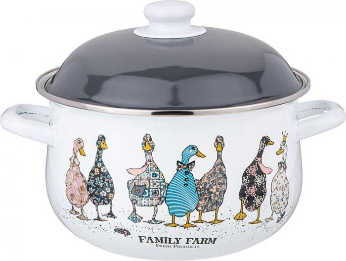 AGNESS 934-623 FAMILY FARM 3.6л