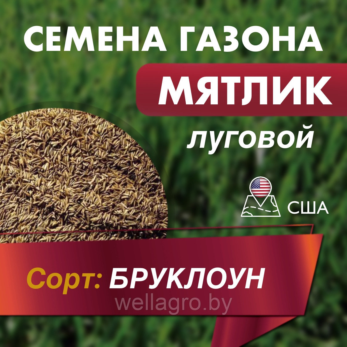 Газонная трава семена "Мятлик" луговой (сорт Бруклоун), кг