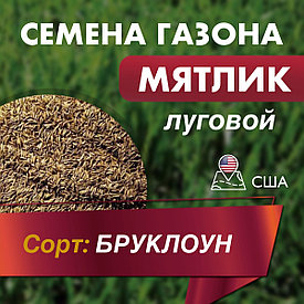 Газонная трава семена "Мятлик" луговой (сорт Бруклоун), кг