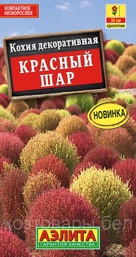 Кохия Красный шар 0,1г Одн 90см (Аэлита)