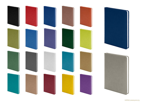 Ежедневник недатированный А5 Days&Weeks Campbell, фото 2