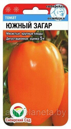 Томат ЮЖНЫЙ ЗАГАР 20шт