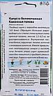 Капуста белокочанная "Каменная голова", фото 2