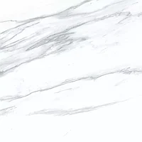 Керамогранит DAKO PRIME E-3040 MR 600x600x9