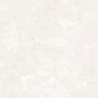 Керамогранит DAKO GENIO E-3018 MR 600x600x9 матовый