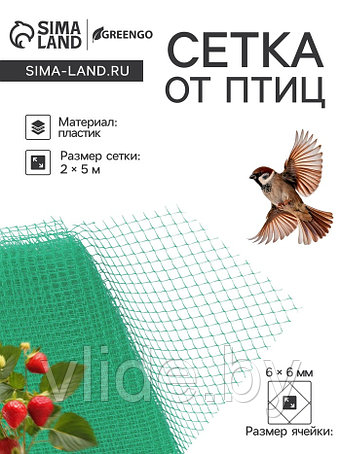 Средства от птиц