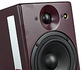 Активный монитор PSI AUDIO A14 M Studio Studio Red, фото 3