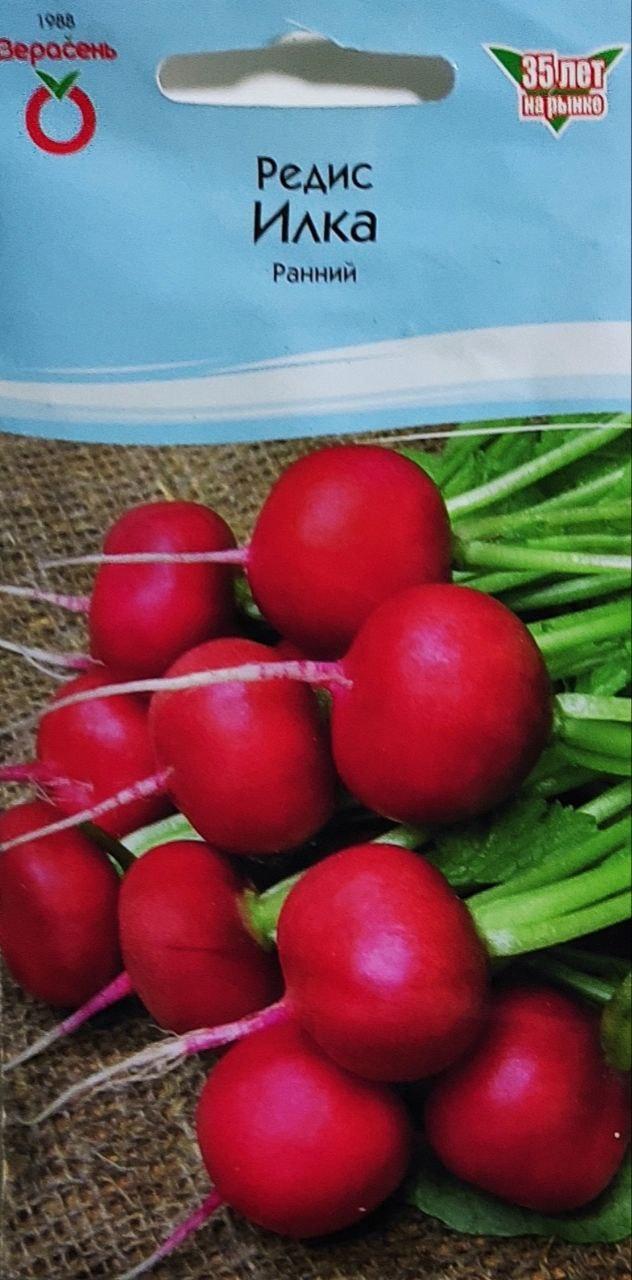 Редис "Илка" (ранний)