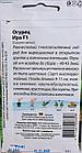 Огурец "Ира F1" (ранний), фото 2
