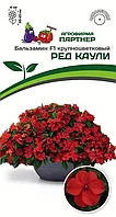 Бальзамин Уоллера крупноцветковый РЕД КАУЛИ F1 2-ной пак. 5шт