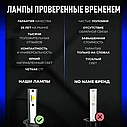Светодиодные лампы RUYCH S90- H1, фото 2