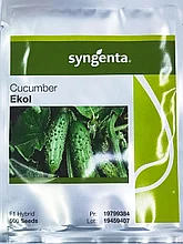 Семена Огурец Эколь F1 Syngenta Сингента (500 шт)