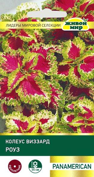 Колеус Виззард Роуз 10шт Живой Мир