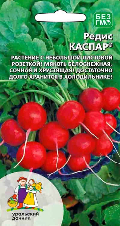 Редис Каспар 2г Уральский Дачник