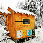 Апидомики в Беларуси: создаем уютные апидомики для вашего сада