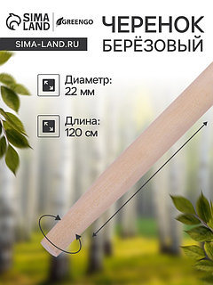 Черенок берёзовый, d = 22 мм, длина 120 см, высший сорт, Greengo