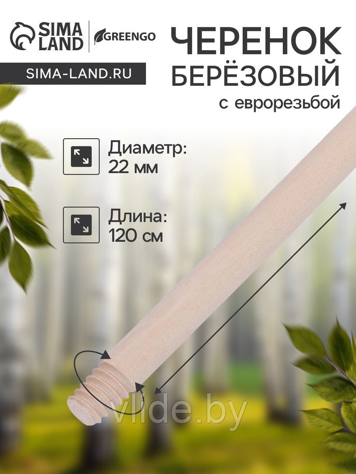 Черенок берёзовый, d=22 мм, длина 120 см, с еврорезьбой, высший сорт, Greengo