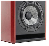 Студийный монитор Focal Solo 6 ST6 2022, фото 6