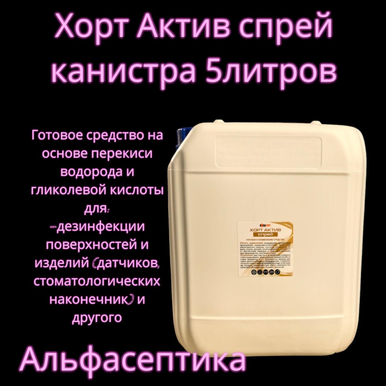 ХОРТ АКТИВ спрей (канистра 5 л) для экстренной дезинфекции поверхностей и изделий на основе перекиси +20% НДС