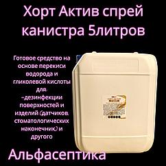 ХОРТ АКТИВ спрей (канистра 5 л) для экстренной дезинфекции поверхностей и изделий на основе перекиси +20% НДС