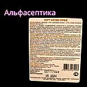 ХОРТ АКТИВ спрей (канистра 5 л) для экстренной дезинфекции поверхностей и изделий на основе перекиси +20% НДС, фото 2