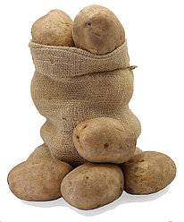 Как правильно выбрать семенной картофель: советы и рекомендации