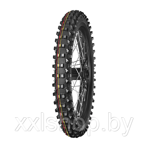 Кроссовые шины Mitas Terra Force-MX SM 70/100-19 42M TT F, фото 2