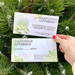 Подарочный сертификат