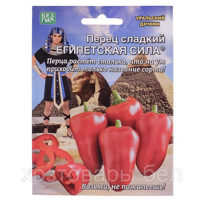 Перец Египетская Сила 12шт (10мм) Ранн (УД)