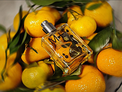 Как я влюбился в Molecule 01 Mandarin