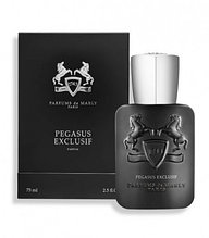 Мужская парфюмерная вода Parfums de Marly Pegasus Exclusif edp 125ml (PREMIUM)