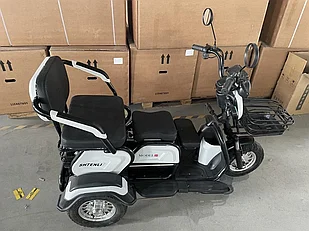 Электрический трицикл SHTENLI Model 31 SLA 20Ач60