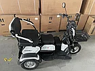 Электрический трицикл SHTENLI Model 31 SLA 12Ач48В, фото 3