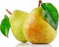 Сорта Груши