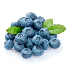 Сорта Голубики